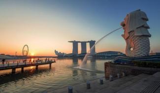 7 Small Business Opportunities in Singapore